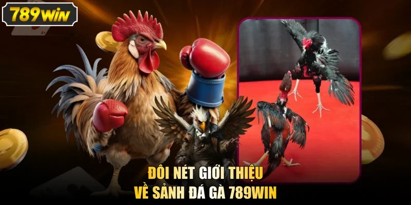 Đôi nét giới thiệu về sảnh đá gà 789win